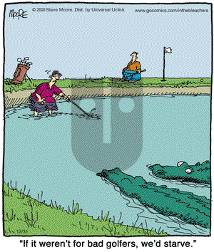 In the Bleachers - Saturday December 31, 2011 Comic Strip