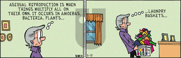 Grand Avenue on Wednesday May 13, 2020 Comic Strip