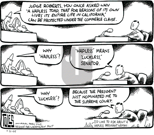 Tom Toles on Thursday July 21, 2005 Comic Strip