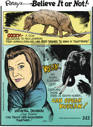 Ripley's Believe It or Not on Friday February 22, 2013 Comic Strip