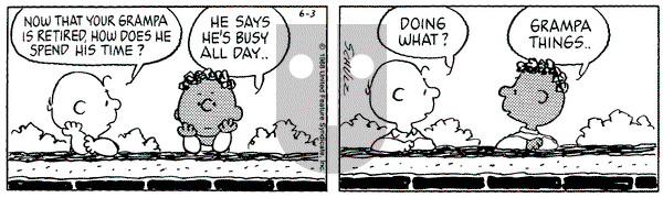 Peanuts - Friday June 3, 1988 Comic Strip