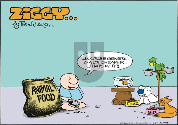 Ziggy on Sunday January 16, 2011 Comic Strip