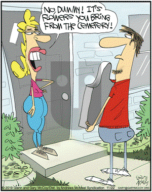 The Flying McCoys on Friday November 22, 2019 Comic Strip