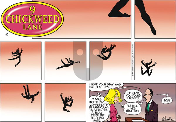 9 Chickweed Lane on Sunday November 20, 2016 Comic Strip