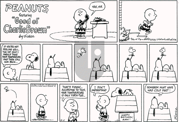 Peanuts - Sunday August 5, 1973 Comic Strip