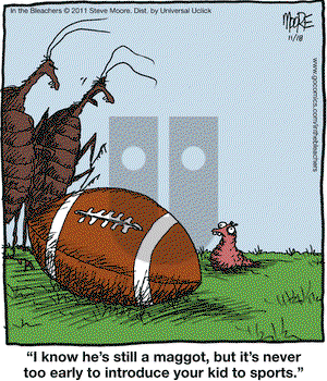 In the Bleachers on Friday November 18, 2011 Comic Strip