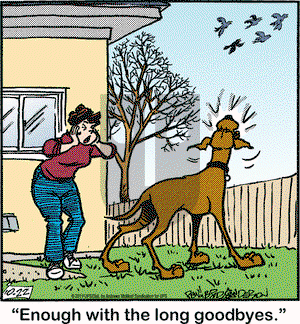 Marmaduke on Tuesday October 22, 2019 Comic Strip