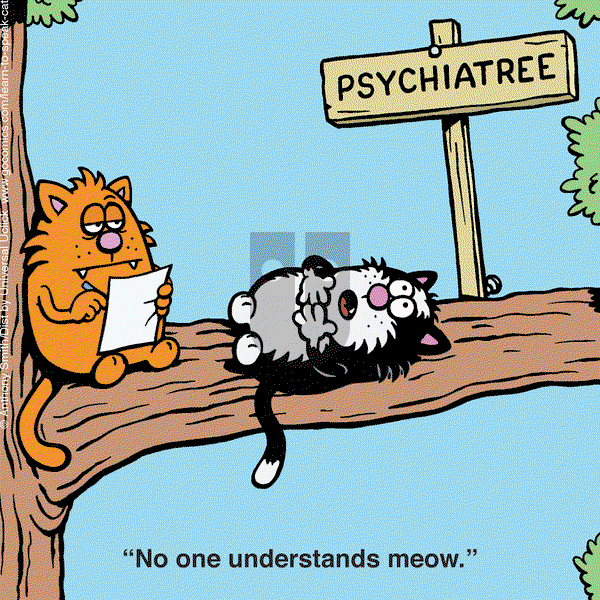 Learn to Speak Cat on Tuesday May 27, 2025 Comic Strip