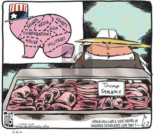 Tom Toles on Thursday December 8, 2016 Comic Strip