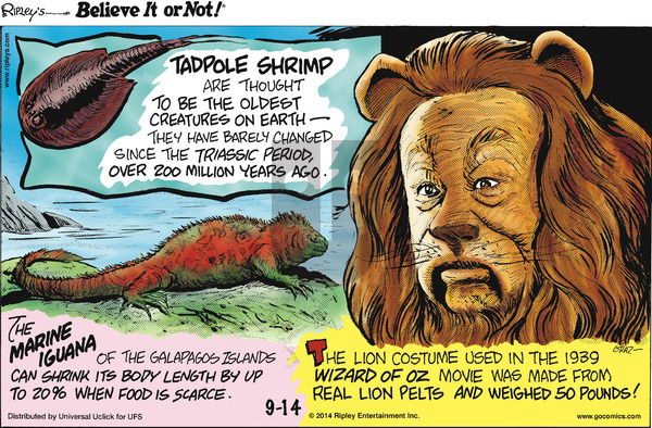 Ripley's Believe It or Not on Sunday September 14, 2014 Comic Strip