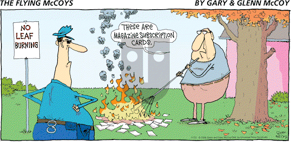 The Flying McCoys on Sunday November 23, 2008 Comic Strip