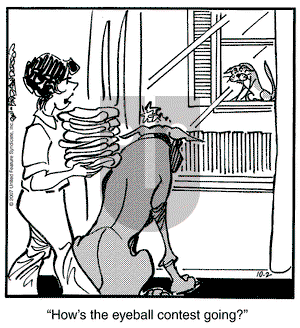 Marmaduke on Tuesday October 2, 2007 Comic Strip