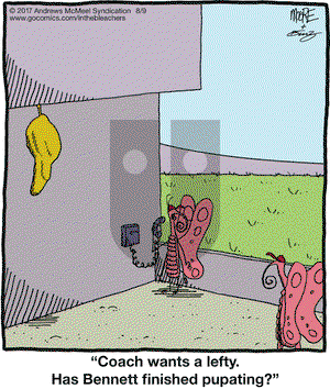 In the Bleachers on Wednesday August 9, 2017 Comic Strip