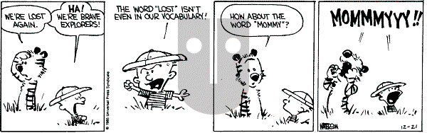 Calvin and Hobbes - Saturday December 21, 1985 Comic Strip