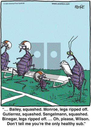 In the Bleachers on Saturday November 5, 2005 Comic Strip