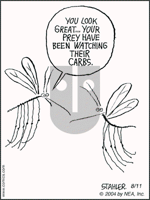 Moderately Confused on Wednesday August 11, 2004 Comic Strip