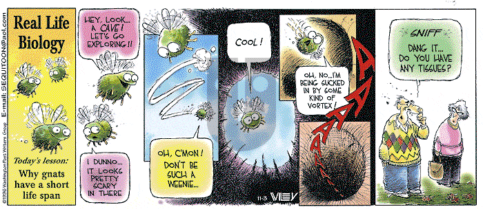 Non Sequitur on Sunday November 3, 1996 Comic Strip