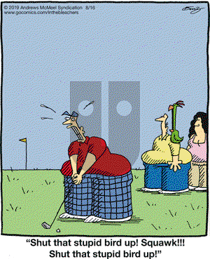 In the Bleachers on Friday August 16, 2019 Comic Strip