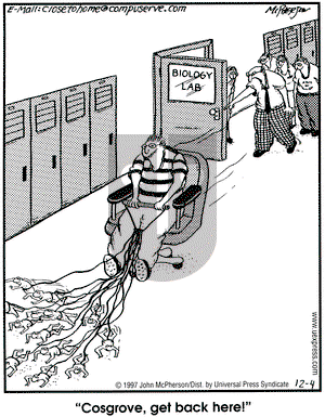 Close to Home on Thursday December 4, 1997 Comic Strip