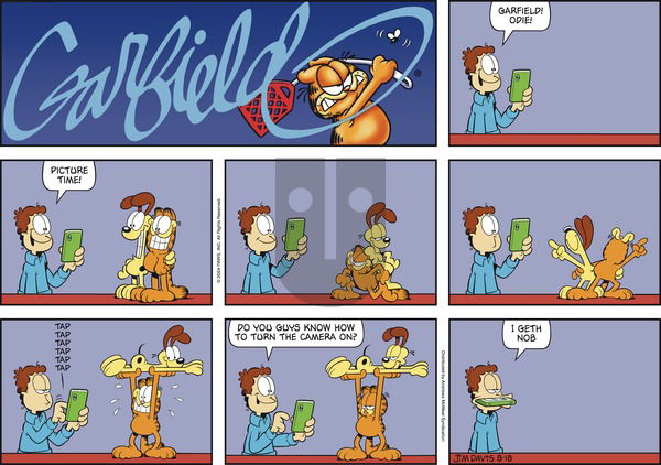 Garfield - Sunday August 18, 2024 Comic Strip