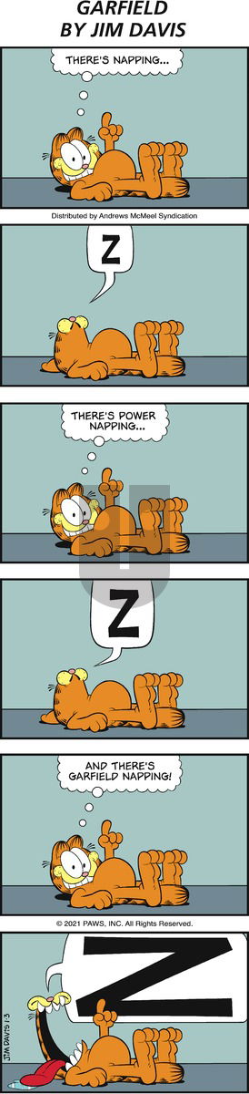 Garfield - Sunday January 3, 2021 Comic Strip