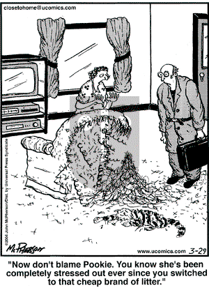 Close to Home on Sunday May 9, 2004 Comic Strip