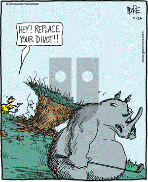 In the Bleachers on Saturday September 26, 2009 Comic Strip