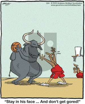 In the Bleachers - Wednesday December 4, 2024 Comic Strip
