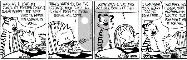 Calvin and Hobbes - Saturday March 5, 1988 Comic Strip