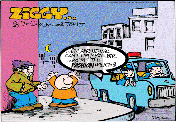 Ziggy - Sunday August 3, 2008 Comic Strip