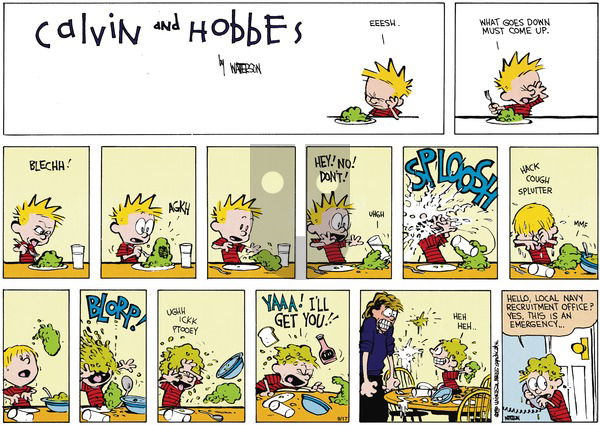 Calvin and Hobbes - Sunday November 4, 1990 Comic Strip