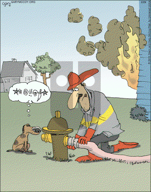 The Flying McCoys - Wednesday February 29, 2012 Comic Strip