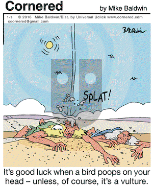 Cornered on Friday January 1, 2016 Comic Strip