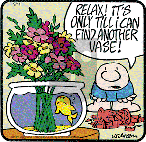 Ziggy on Thursday September 11, 2025 Comic Strip