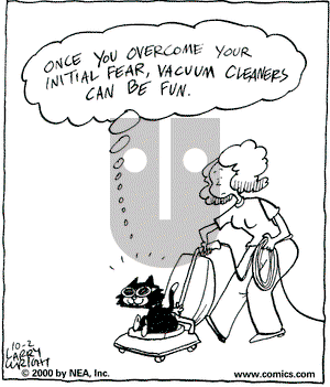 Kit 'N' Carlyle on Monday October 2, 2000 Comic Strip