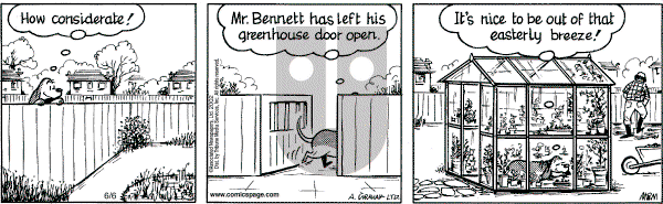 Fred Basset on Thursday June 6, 2002 Comic Strip
