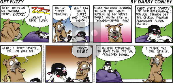 Get Fuzzy on Sunday May 20, 2012 Comic Strip