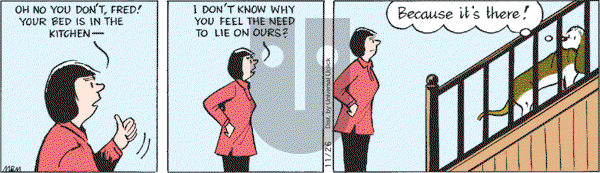 Fred Basset on Friday November 26, 2010 Comic Strip