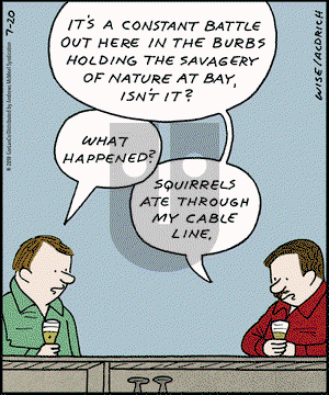 Real Life Adventures on Saturday July 20, 2019 Comic Strip