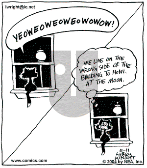 Kit 'N' Carlyle on Thursday November 11, 2004 Comic Strip