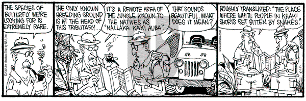 Monty on Monday June 6, 2005 Comic Strip