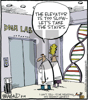 Reality Check on Friday August 19, 2016 Comic Strip