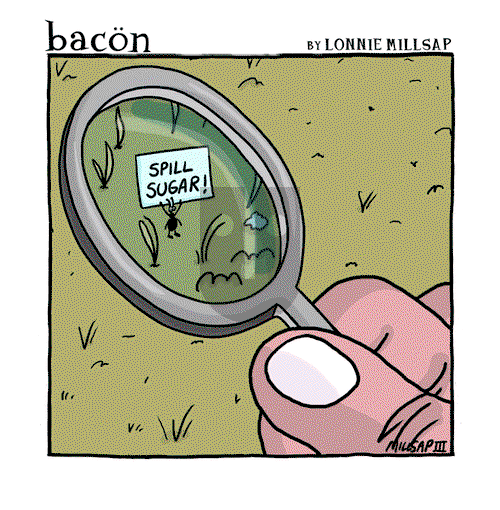bacon - Monday July 29, 2024 Comic Strip