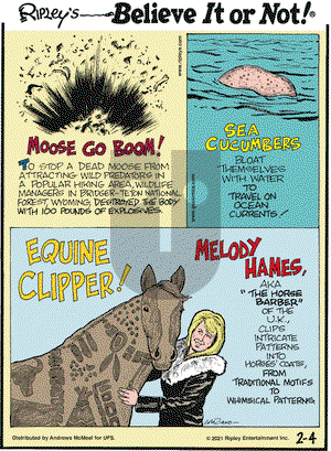 Ripley's Believe It or Not on Thursday February 4, 2021 Comic Strip