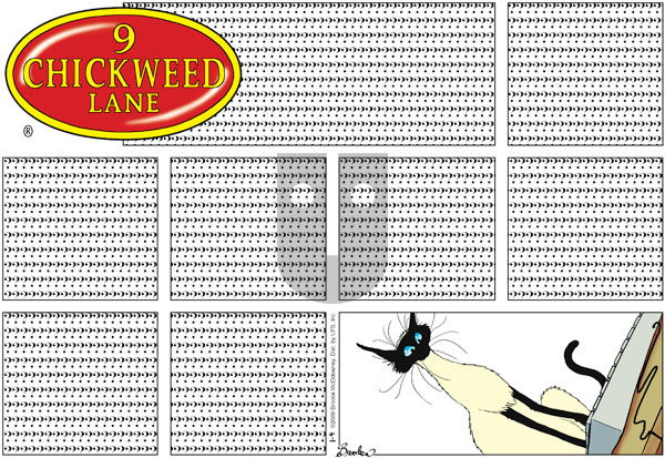 9 Chickweed Lane on Sunday January 4, 2009 Comic Strip