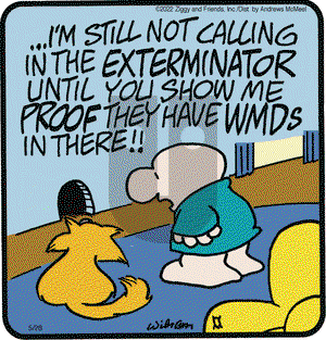 Ziggy - Saturday May 28, 2022 Comic Strip