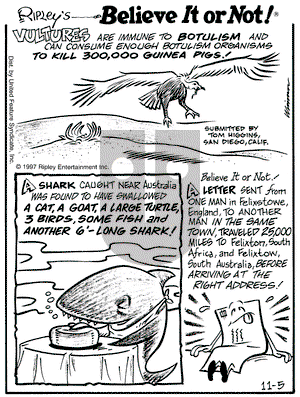 Ripley's Believe It or Not on Wednesday November 5, 1997 Comic Strip