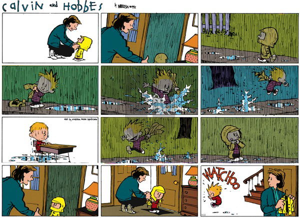 Calvin and Hobbes on Sunday November 8, 1992 Comic Strip