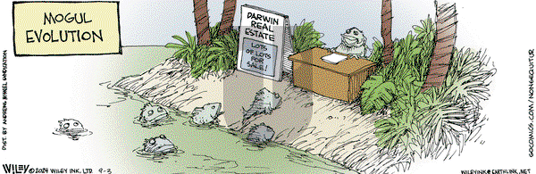 Non Sequitur - Tuesday September 3, 2024 Comic Strip