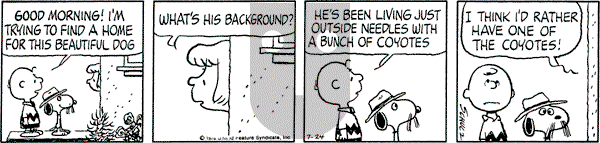 Peanuts - Monday July 24, 1978 Comic Strip